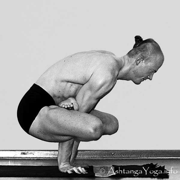 Kukkutasana - Primary Series (=Yoga Chikitsa / erste Serie) wird oft als die schwerste aller Ashtanga Vinyasa Yoga Serien bezeichnet, denn sie ist die Serie, die Du zuerst lernst - und aller Anfang ist schwer.