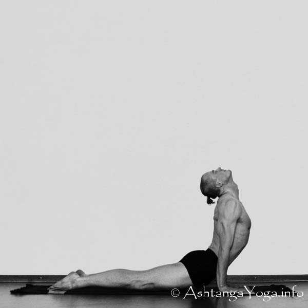 Urdhva Mukah Svanasana - Surya Namaskara B ist einer der sch�nsten Teile des Ashtanga Vinyasa Yoga.