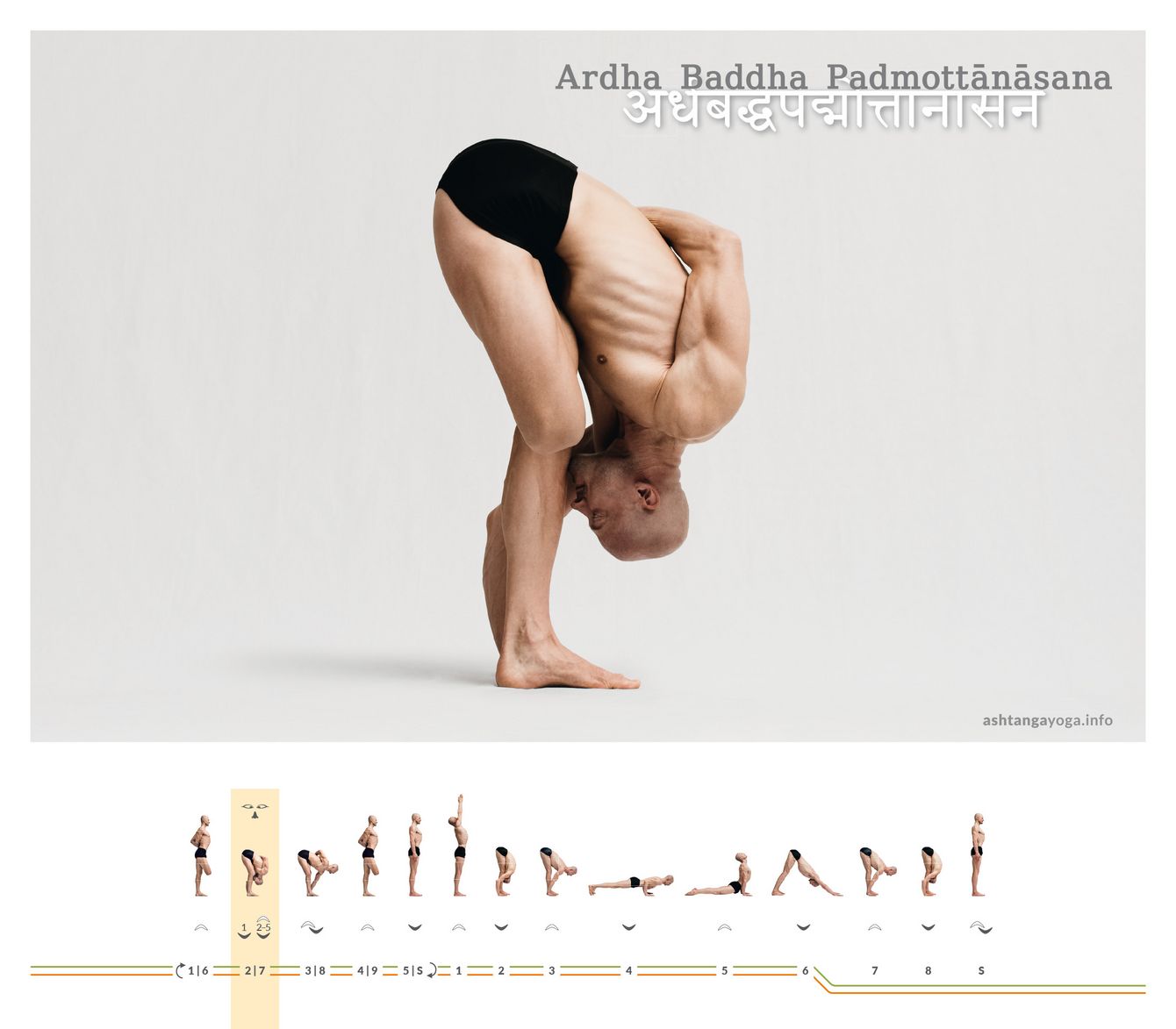 Die „Intensive halb gebundene Lotushaltung“ ist eine stehende Vorbeuge auf einem Bein mit dem anderen Bein in der Lotusposition - Ardha Baddha Padmootanasana.