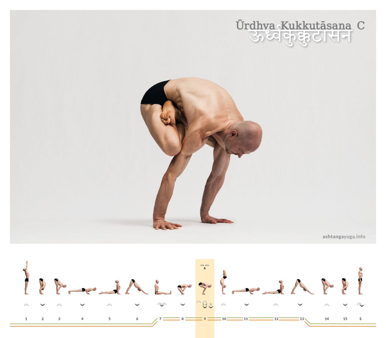 Urdhva Kukkutasana C, eine weitere Variation des „Nach oben gerichteten Hahns“, symbolisiert eine dynamische Energiebewegung, bei der die Balance zwischen der Schwerkraft und der Kraft der Arme eine zentrale Rolle spielt. Hierbei wird die Konzentration gefordert.