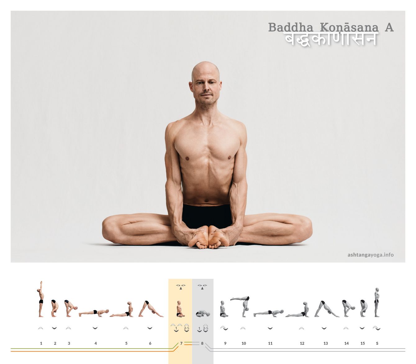 In der ersten Version der “Gebundenen Winkelhaltung”, Baddha Konasana A, befinden sich die Füße beieinander, während die Knie sich zur Seite öffnen. Der Oberkörper ist aufrecht. 