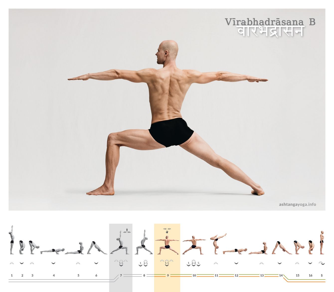 Mit dem Übergang von Virabhadrasana A zu B erweitert der Übende seinen Stand, senkt die Arme und breitet diese horizontal nach vorne und hinten aus – „Haltung des mächtigen Helden“