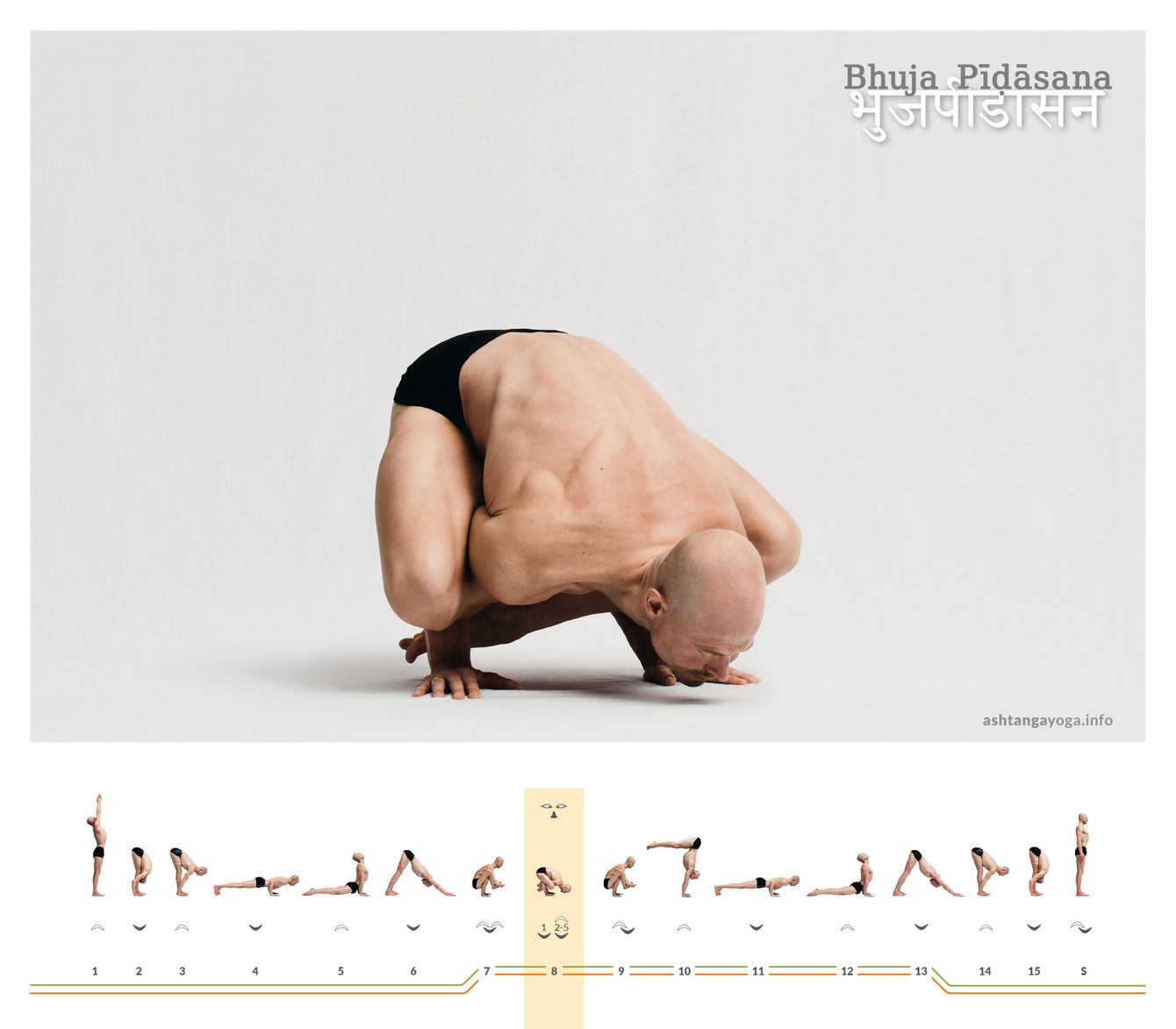 In Bhuja Pidasana übertragen die seitlich über die Oberarme gelegten Oberschenkel das gesamte Körpergewicht auf die Arme, während das Kinn dicht über dem Boden schwebt.
