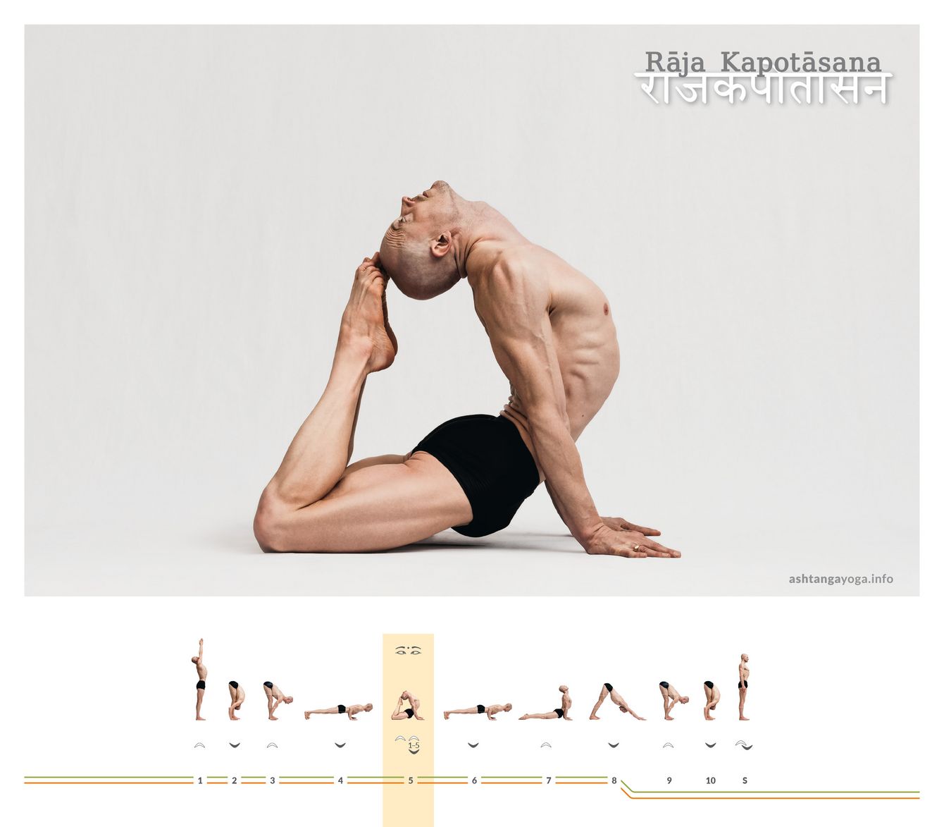 Aus der Bauchlage in die tiefe Rückbeuge: Rāja Kapotāsana, die „königliche Taube“, öffnet Hüftbeuger, Brustkorb und Schultern zugleich.