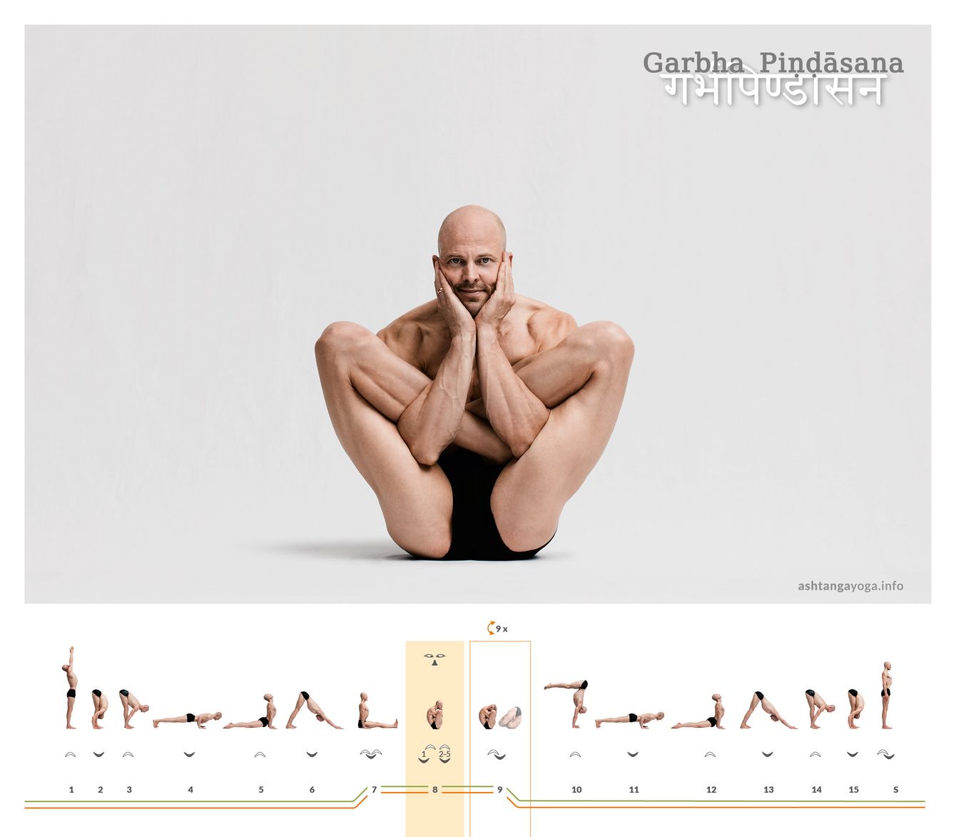Der “Eingerollte Embryo”, Garbha Pindasana, entwickelt sich aus dem Lotussitz. Die Arme schlüpfen dabei unter den Kniekehlen durch und die Hände halten den Kopf.