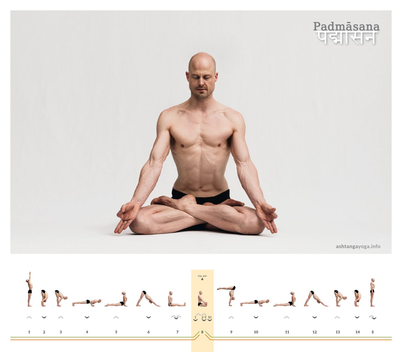 Der “Lotus” ist die wohl bekannteste und charakteristische Haltung des Yoga. Beide Füße liegen auf den Oberschenkeln der Gegenseite. Die Wirbelsäule wächst entspannt und aufrecht empor - Padmasana.