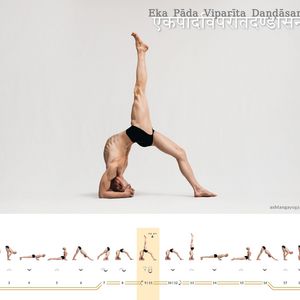 Eka Pāda Viparīta Daṇḍāsana