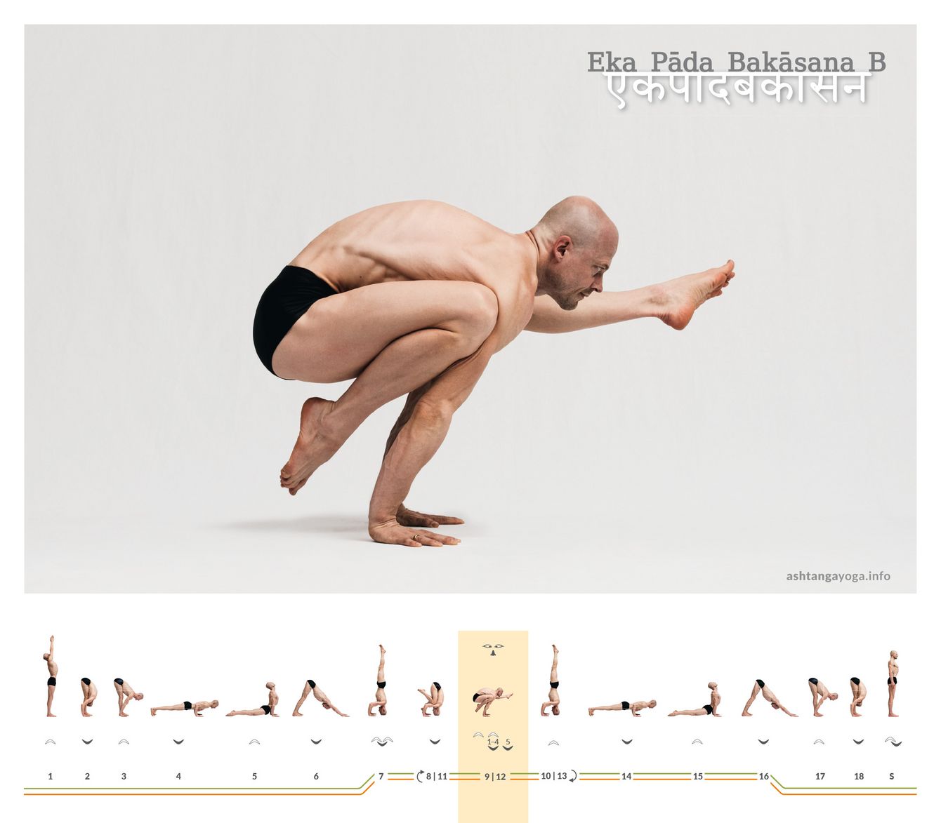 Eka Pada Bakasana, oder Einbeinige-Krähen-Haltung, ist in Variante B eine fortgeschrittene Yoga-Pose, die auf den Armen balanciert. Ein Knie ist auf dem Ellenbogen gestützt und dem anderen Bein nach vorne gestreckt.