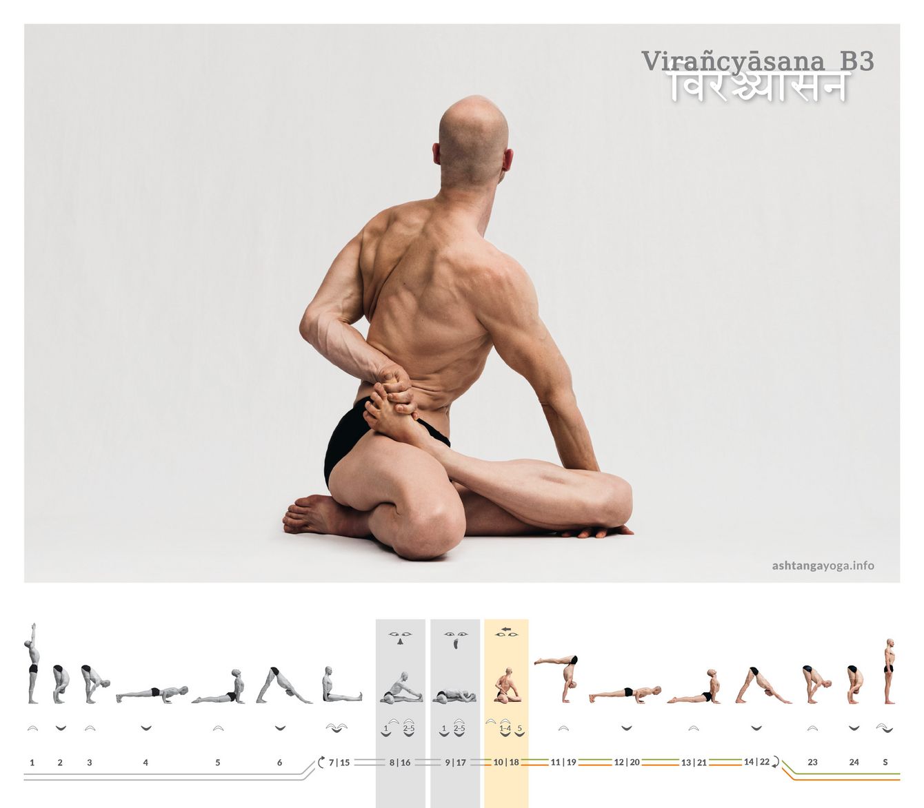 Perspektivwechsel statt Gewohnheit: Virañcyāsana B3 fordert Stabilität und Geist zugleich – Ordnung entsteht hier nicht nur geradeaus, sondern auch durch kluge Wendung.