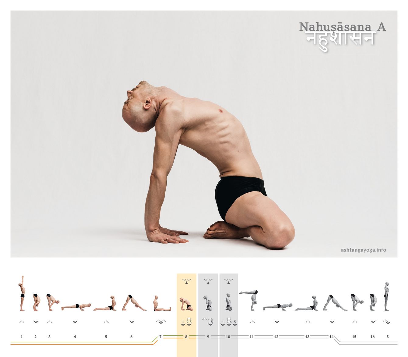 Wie Nahuṣāsana A baut auf Mūla Bandhāsana auf. Die Hände sind hier jedoch hinter dem Rücken aufgestützt, der Blick nach oben. Dies Symbolisiert die Ausrichtung auf ein höheres Ideal. 