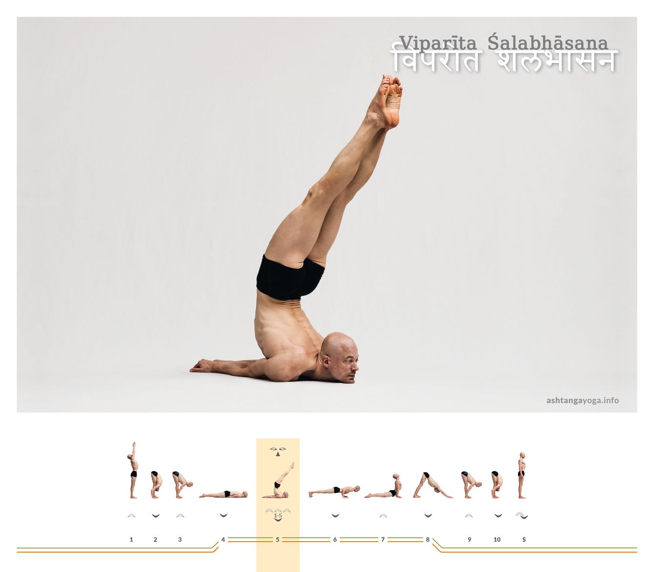 Aus der Bauchlage die Beine weit empor recken: Viparīta Śalabhāsana verlangt Rückseitenkraft und Kontrolle, damit Aufrichtung aus Länge entsteht – nicht aus Druck im Nacken.