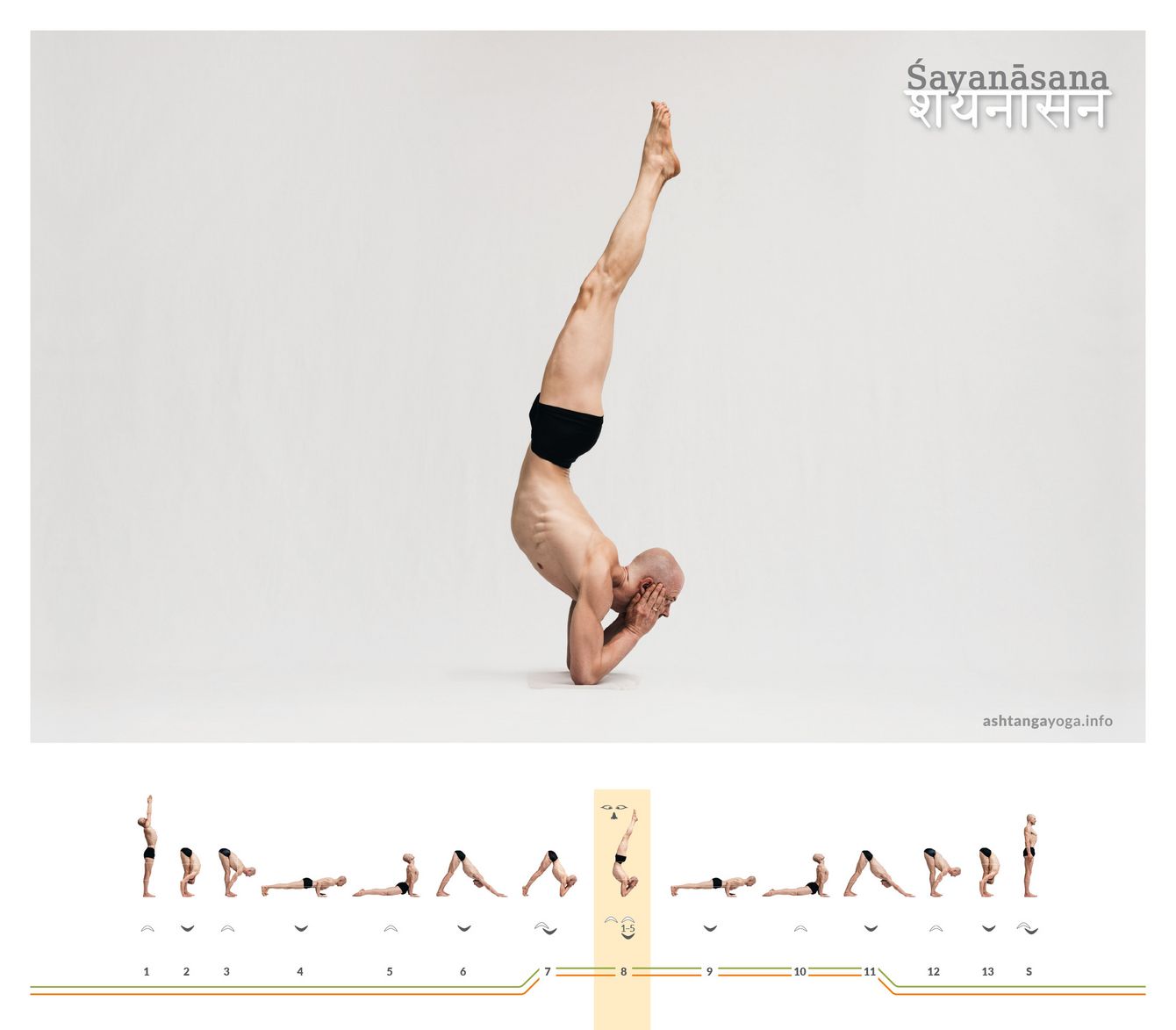 Aus dem Unterarmstand in eine scheinbar „ruhige“ Vertikale: Śayanāsana verlangt Stabilität im Schultergürtel und eine klare Achse, damit Balance aus Ruhe entsteht.