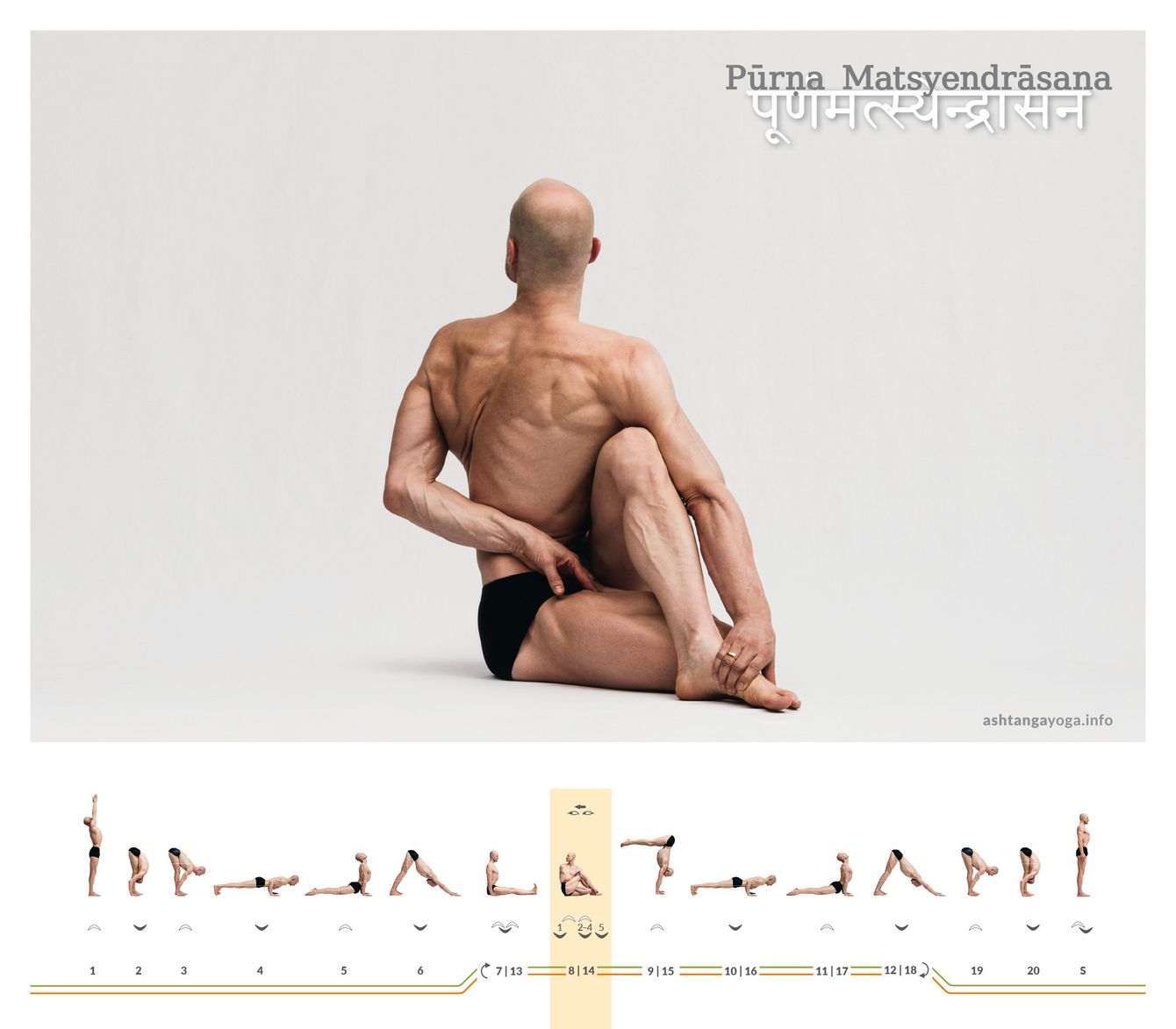 Pūrṇa Matsyendrāsana ist ein Drehsitz, in dem sich ein Bein im Lotus befindet.