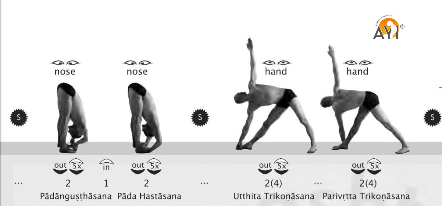 Spickzettel Fur Die Ashtanga Yoga Serie Pdf Ashtangayoga Info