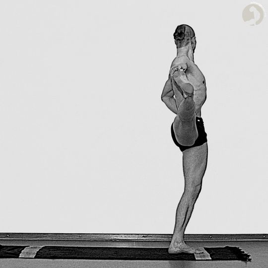 Utthita Parshvasahita