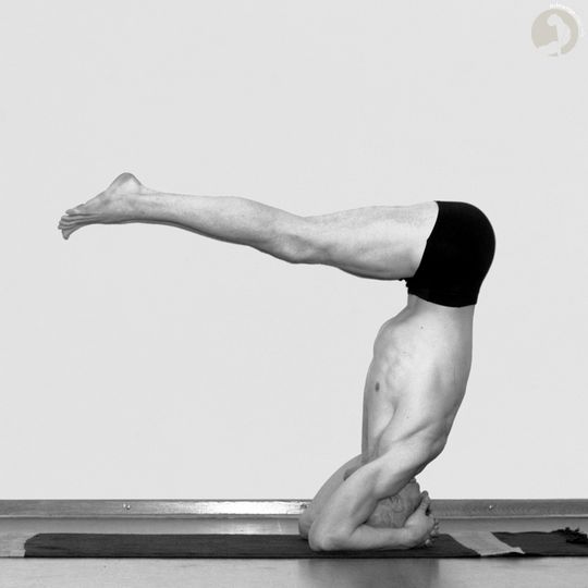 Urdhva Dandasana