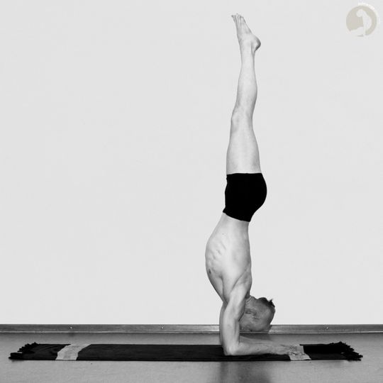 Pincha Mayurasana