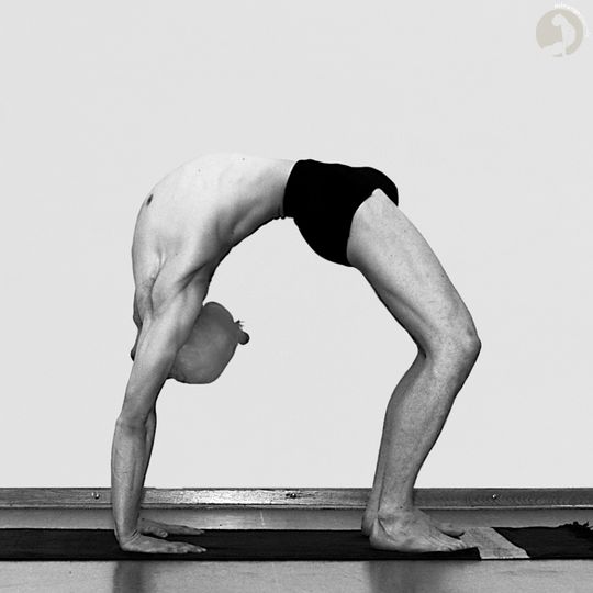Urdhva Dhanurasana