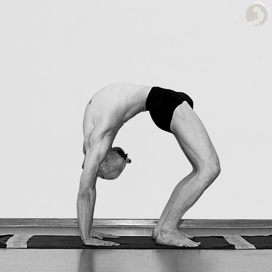 Urdhva Dhanurasana