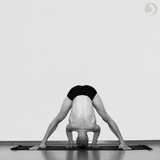 Prasarita Padottanasana [A] AshtangaYoga.info